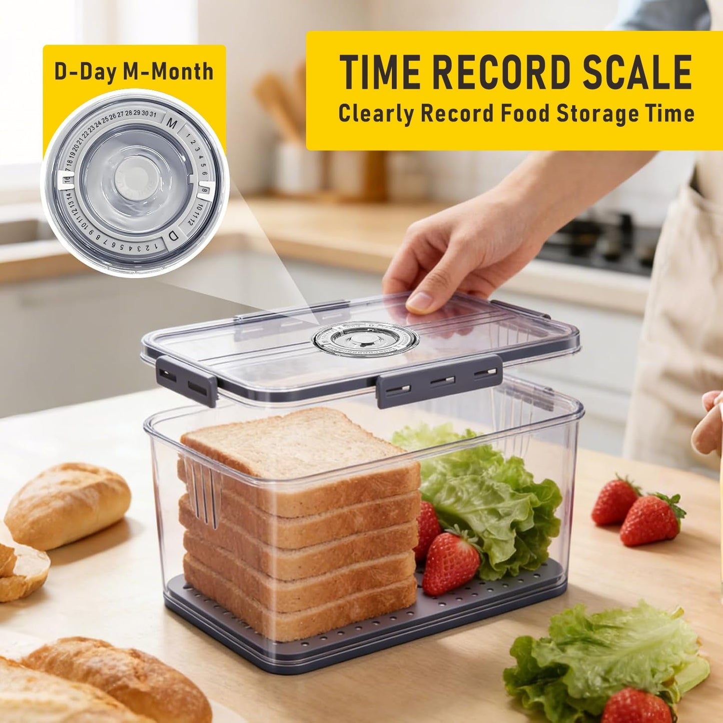 Airtight Bread Box